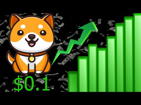 BABY DOGE COIN BIG UPDATE! GOOD NEWS FOR HOLDERS    PRICE PREDICTION INVEST NEWS TODAY 2021