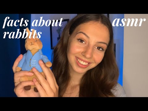 ASMR - Random Facts About Rabbits (Whispers & Cuddly Toy Stroking)