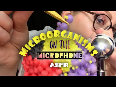ASMR Microorganisms On The Mic | Crinkly, Crunchy Study & Removal