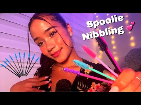 ASMR Spoolie Nibbling To Help You Relax 🤤 ( Super Tingly )