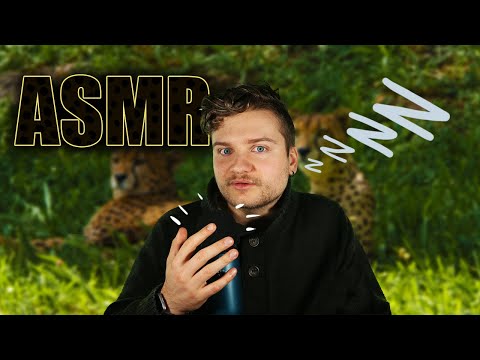 Whispering facts about Cheetahs (ASMR) part 1