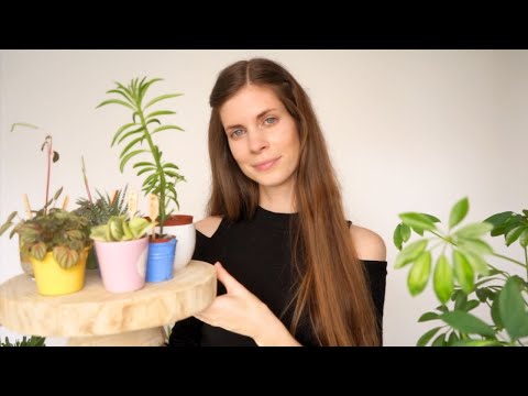ASMR | Plant lady tries to sell you plants 🌿 Flemish soft spoken