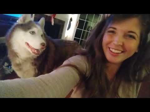 Scalp Massage ASMR feat. Whining Huskies