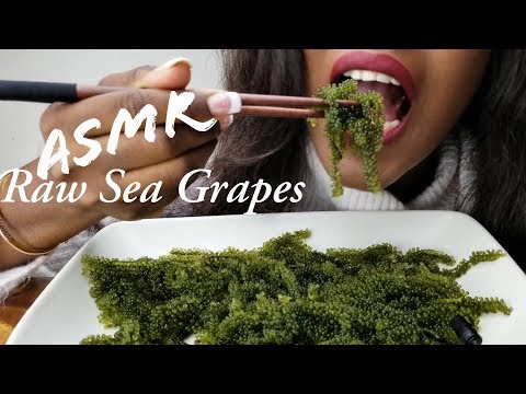 ASMR SEAGRAPE *Extreme Crunch  Eating Sounds (No Talking)