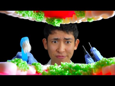 [ASMR] Getting Something Out Of Your Teeth [4K]