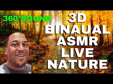 ASMR 3D Sounds Walking In Forest Nature And Hearing The Crickets, Birds BINAURAL USE HEADPHONES