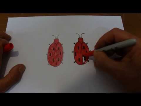 ASMR - Doodling - Australian Accent - Doodling Lady Beetles While Explaining in a Quiet Whisper