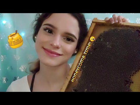 ASMR | Trying a Huge Honeycomb 🍯 (Messy) | ilegna ASMR