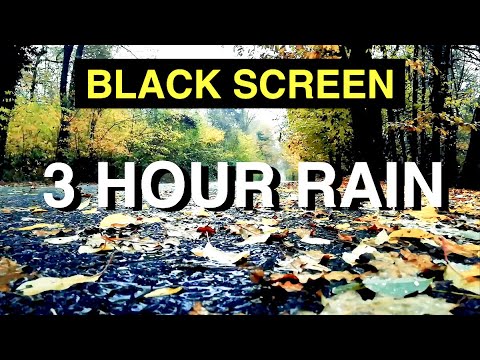 3 HOURS OF RAIN SOUND - BLACK SCREEN