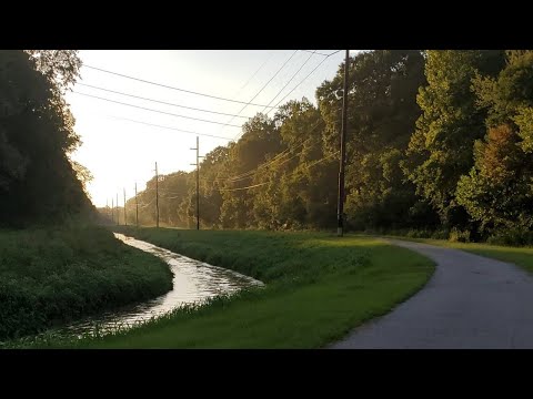 ASMR | 1st Person POV Afternoon Stroll (Nature)