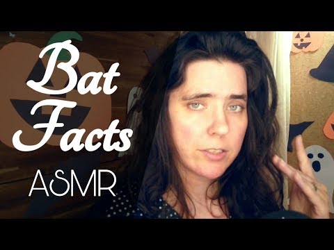 *Whisper* ASMR Facts about Bats