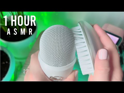 ASMR Mic Brushing for Working, Studying, Gaming [1 HOUR] | NO TALKING