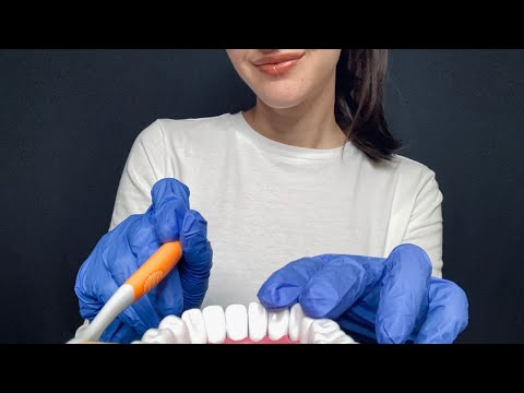 ASMR Dentist Roleplay 🦷 l Soft Spoken, Personal Attention, Teeth Cleaning