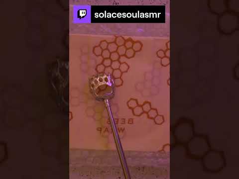 Say helo to my little friend!! | solacesoulasmr on #Twitch