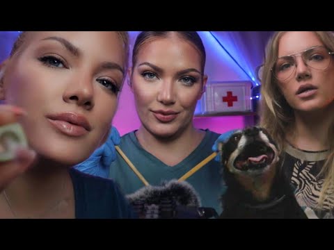 ASMR Most Relaxing RPs: Scalp Check, MUA, Pet Therapy | Medical & Personal Attention Binaural Audio🎧