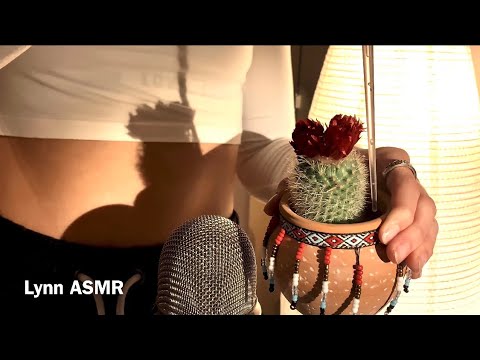 New triggers ASMR with cactus (very tingly)