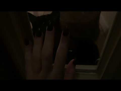 ASMR tapping on the window trying to get my cat’s attention