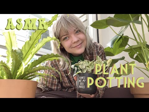 potting plants ASMR 🪴 + mini plant haul  (relaxing day outside) ☀️