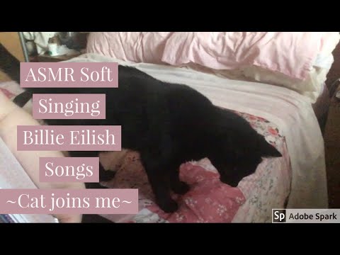 ASMR Soft Singing Billie Eilish Songs ~Cat wants to join me~ ❤️