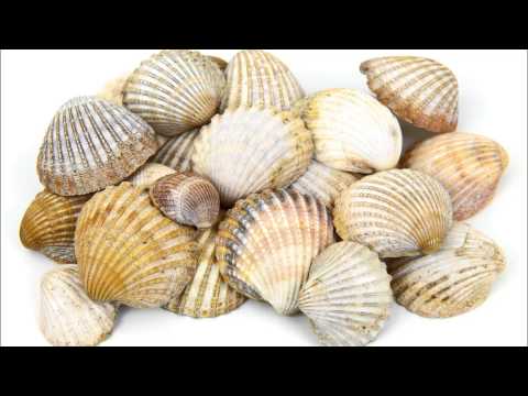 (3D binaural sound) Asmr & relaxing sounds of shells/seashells & rubbing & scratching & tapping