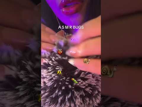 ASMR BUGS 🐛🐝🐞 #asmr #asmrbugs #bugs #shorts #asmrcommunity #asmrsounds