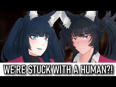 Stuck In A Cabin With Wolfgirls?! [FF4M Audio Roleplay] ft.@BelluaASMR