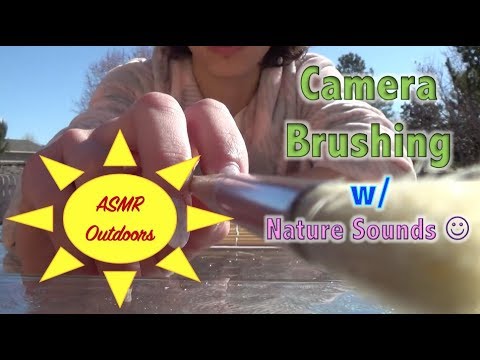 💐🐝🌻Nature's ASMR Camera Brushing w/ Birds, Bees & Planes