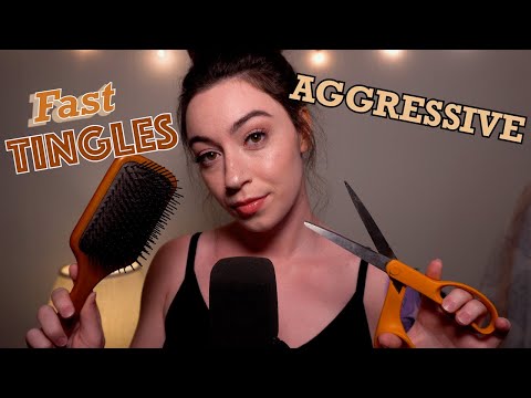 ASMR | Fast And Aggressive Triggers (Brushing, Snipping, and Stipples)