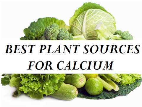 THE BEST PLANT SOURCES FOR CALCIUM