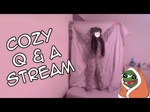 DTL's Long Awaited Q and A peepocozy stream (Tingles Included)