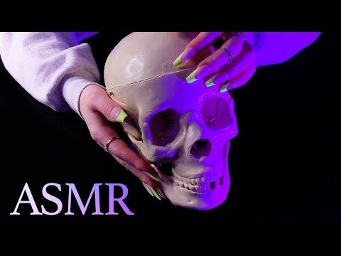 ASMR Tapping and Scratching Your Skull 💀