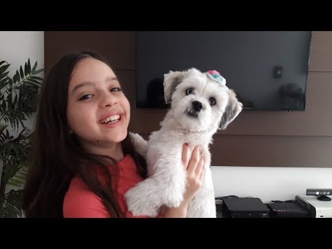 Vlog dando banho na minha cachorrinha Luna, será que consegui ?