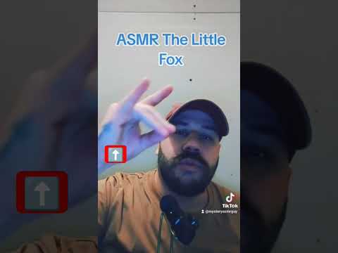 ASMR The Little Fox #asmr