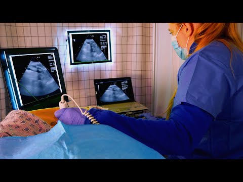ASMR Hospital Abdominal Ultrasound | Medical Role Play