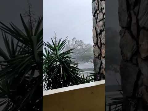 Hurricane Ian Category 4 storm surge & Damage aftermath #shorts #hurricane #tiktok