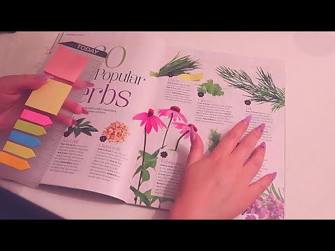 ASMR Garden Planning🪴Soft-Spoken🪴 Sticky Notes | Writing | Page Flipping