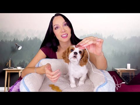 ASMR - Puppy ASMR | Chewing And Mouth Sounds