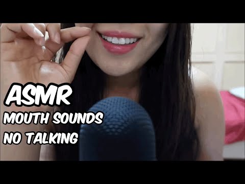 ASMR - Mouth Sounds No Talking Tingles 입소리
