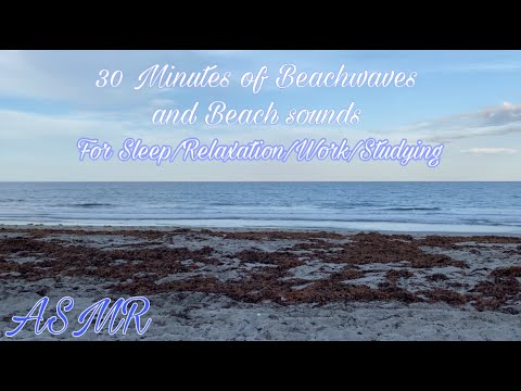 🌊 ASMR 🌊 | 30 Minutes of Beachwaves & Beach Sounds for Sleep/Work/Studying