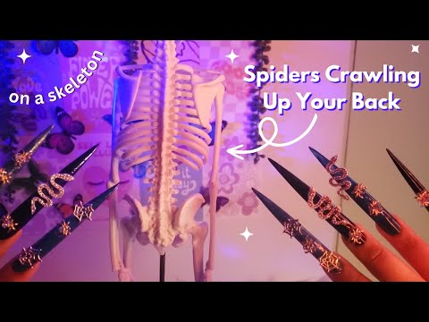 ASMR Spiders Crawling Up Your Back Snakes Slithering Down on a Skeleton, Back Scratching, Long Nails