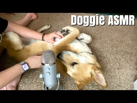 ASMR | 10 minutes of doggie scratches, the best boy | ASMRbyJ