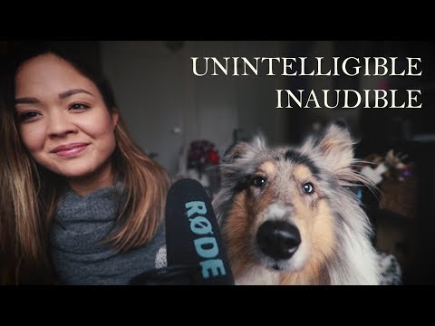 My dog tries ASMR 🐶 Unintelligible inaudible • Mouth sounds • Tapping