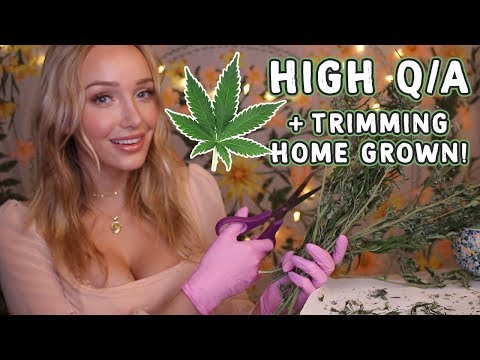 420 ASMR! Trimming Weed, High Q/A, Bong Bubbles...