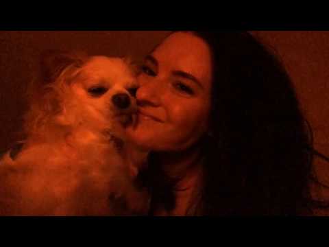 ASMR Ramble With My Dog & Kisses