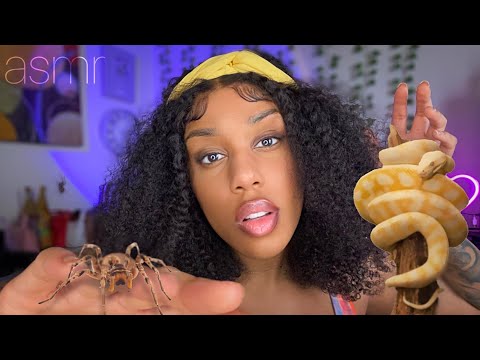 ASMR | 🕷 Spiders Crawling Up Your Back, Snakes Slithering Down 🐍