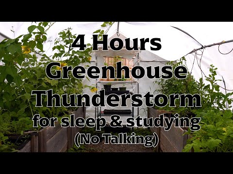 4 Hours Greenhouse Thunderstorm for Sleep & Studying