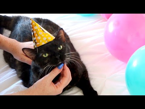 ASMR | We Forgot Her Birthday!!