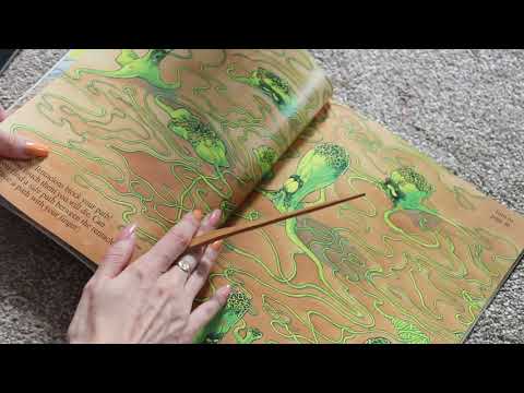 ASMR Adventure Books (Tracing, Whispering)