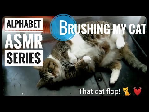 Brushing My Cat (No Talking) || Lo Fi Alphabet ASMR Series