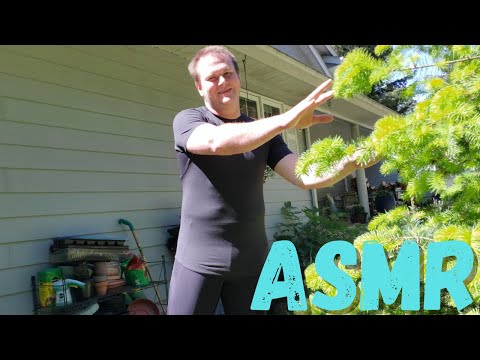ASMR Giving You Tingles Outside in Nature